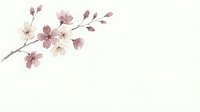 Delicate watercolor cherry blossom branch with pink flowers and buds on white background, isolated for cards, invitations, and decor.