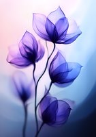 Delicate purple flowers with translucent petals against soft pink and blue gradient background create ethereal botanical art suitable for wall decor and greeting cards.