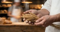 Baker holding wheat ears in hands at artisan bakery with fresh bread and warm lighting for organic baking and grain quality concepts.