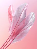 Delicate white and pink feathers on soft pink background showcase gentle curves and textures, creating ethereal mood for romantic and feminine designs.