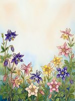 Watercolor columbine flowers in pink, purple, yellow, and white bloom against a soft pastel background, creating an elegant floral border with copy space.