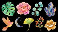 Watercolor botanical and nature elements collection featuring monstera leaf, pink peony, eucalyptus branch, crystal cluster, golden bird, crescent moon, ginkgo leaf, rowan berries, and golden poppy. Isolated on transparent background, ready for t-shirts, stickers, clipart, sublimation, and print-on-demand designs.
