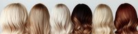 Various hair colors and styles displayed in a row, including blonde, brunette, and auburn shades, showcasing different tones for beauty and salon services.