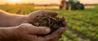Farmer hands holding rich fertile soil in agricultural field during golden sunset with tractor working in background for sustainable farming practices.