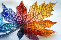 Colorful autumn maple leaf with water droplets creating prismatic effect, transitioning from deep blue to vibrant orange and yellow tones in detailed macro photography.