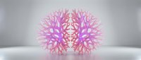 Two glowing pink and purple coral-like geometric structures face each other symmetrically on a reflective surface in a soft studio setting.
