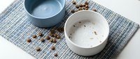 Empty pet food bowls on textured placemat with scattered kibble, perfect for pet care and feeding concepts in advertising and marketing materials.