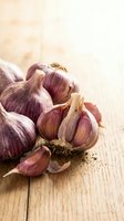 Fresh purple garlic bulbs and cloves arranged on rustic wooden surface with warm natural lighting for culinary cooking and kitchen preparation.
