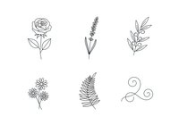 Botanical line art illustrations of rose, lavender, olive branch, daisy flowers, fern leaf and spiral leaf isolated on white background, ready for design projects, tattoo templates, botanical prints and decorative elements.