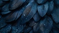 Dark blue petals with morning dew drops creating natural pattern. Macro photography reveals delicate water droplets on flower surface in moody lighting.