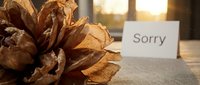 Dried pine cone beside a sorry card on a linen surface, warm sunset light in background, conveying apology and forgiveness.