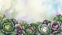 Watercolor illustration of fresh cabbage heads in green and purple tones arranged in a row, suitable for culinary, agricultural, and food-related design projects.
