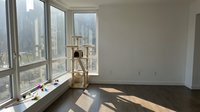 Empty modern apartment interior with large windows overlooking city skyline, wooden easel, natural sunlight casting shadows on hardwood floor, minimalist decor for residential or commercial use.