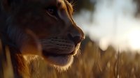 Majestic lioness profile at golden hour, close-up view showing whiskers and facial features illuminated by warm sunlight against blurred savanna background.