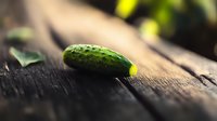Fresh green cucumber on dark rustic wooden background with natural lighting and shallow depth of field, farm to table concept.