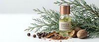 Essential oil bottle with copper cap surrounded by fresh pine branches, cinnamon sticks, peppercorns and walnuts on white background for aromatherapy.