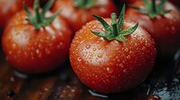Fresh ripe tomatoes with water drops on dark background, close up macro shot showing texture and natural moisture, green stems visible, food photography.