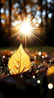 Glowing golden leaf backlit by bright sunlight with bokeh lights and fallen autumn foliage, creating a warm, ethereal atmosphere for seasonal and nature-themed designs.