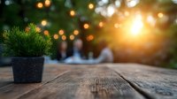 Small potted pine plant on rustic wooden table with warm sunset and string lights creating bokeh effect in garden setting.