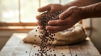 Hands pouring fresh roasted coffee beans on rustic wooden table with natural window light creating warm morning atmosphere for brewing preparation.