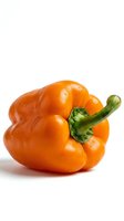 Fresh orange bell pepper with green stem isolated on white background, suitable for food, cooking, nutrition, and healthy eating design projects.