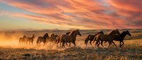 Herd of wild horses galloping through dusty desert landscape at golden hour sunset, kicking up dust clouds during migration across arid terrain.