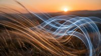Glowing light trails swirl through golden grass at sunset, blending nature and energy in a dynamic long-exposure scene.