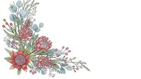 Watercolor floral corner arrangement with protea flowers, eucalyptus leaves and botanical elements on transparent background for wedding invitations.
