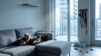 Modern apartment living room with two cats relaxing on gray sectional sofa near large windows overlooking urban cityscape on sunny day.