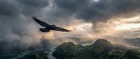 Majestic eagle soaring above dramatic mountain landscape with stormy clouds and golden sunlight breaking through moody sky creating powerful nature scene.