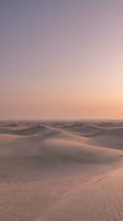 Vast desert landscape with rolling sand dunes bathed in soft golden and pink hues during sunset or sunrise. Rippled sand patterns create texture across the foreground, while distant dunes fade into a hazy horizon beneath a gradient sky transitioning from purple to peachy tones. Serene and tranquil atmosphere.