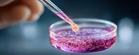 Laboratory pipette dropping pink liquid sample into petri dish with purple solution against blurred scientific background for medical research.