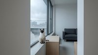 Siamese cat sitting on wooden cabinet by large window in modern minimalist living room with city view and contemporary furniture.
