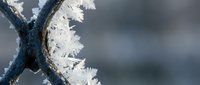 Delicate white frost crystals forming on dark metal wire fence creating intricate winter patterns against soft blurred background.