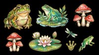 Toad frog amphibian isolated on transparent background, ready for t-shirt design, clipart, stickers, sublimation and print-on-demand products.