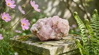 Rose quartz crystal cluster resting on a mossy stone surface surrounded by pink cosmos flowers and fern in a lush garden setting.