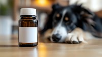 Pet medication bottle with blank label on wooden table with blurred dog in background for veterinary care and animal health treatment concepts.