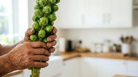 Fresh green hops held in hand against blurred kitchen background, ideal for craft beer brewing, culinary, and beverage industry marketing materials.