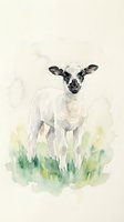 Watercolor painting of young white lamb with black markings standing in green grass field on neutral background for nursery decor and farm animal artwork.