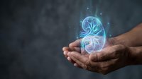 Glowing kidney hologram floating above cupped hands against dark background. Medical healthcare concept for urology, nephrology and organ protection awareness.