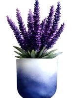 Purple lavender flowers in modern gradient blue ceramic pot on white background, isolated botanical illustration for home decor and design projects.