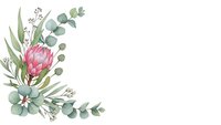 Watercolor protea flower with eucalyptus leaves corner arrangement on white background for wedding invitations and botanical design projects.