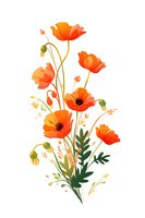 Vibrant orange poppies with green stems and leaves on white background, floral arrangement in minimalist style. Isolated botanical illustration for design projects.