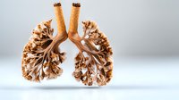 Artistic representation of human lungs crafted from dried tree branches and twigs showing bronchial airways and alveoli structure against light background.