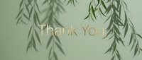 Elegant Thank You text in gold on a soft sage green background with delicate willow branch shadows for greeting cards and social media.