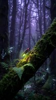 Mystical forest scene with moss-covered tree trunk and glowing firefly in purple twilight atmosphere creating magical woodland ambiance for fantasy projects.