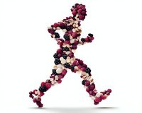 Running figure silhouette made of fresh berries and yogurt drops on white background, healthy lifestyle and fitness nutrition concept.