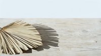 Dried palm leaf casting shadow on whitewashed wooden surface, isolated botanical element for design projects and creative backgrounds.