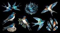 Swallows and swifts in flight with feather details, isolated on transparent background. Ready for t-shirt design, clipart, stickers, sublimation, and print-on-demand projects.