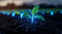 Glowing blue plant seedling emerging from dark soil with bokeh lights in background, representing growth, innovation and environmental technology.